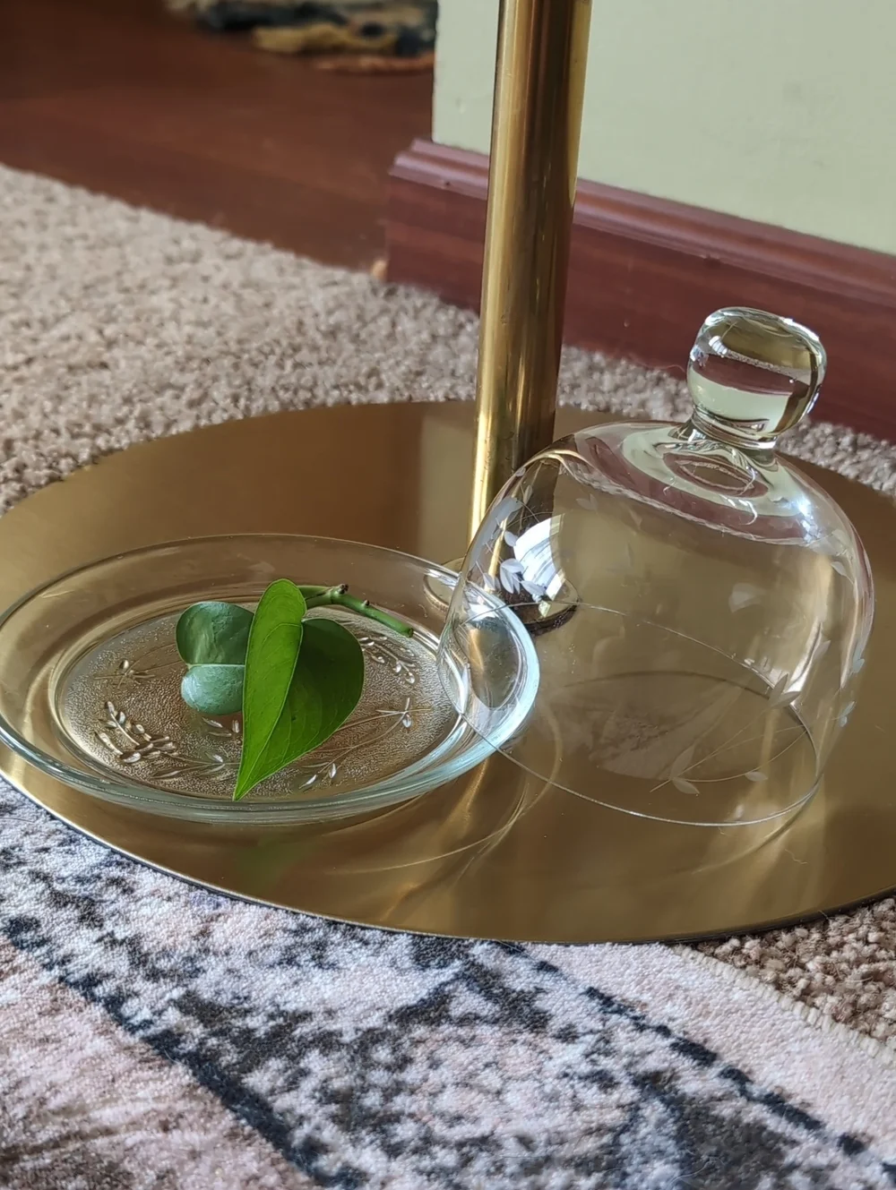Butter Dish